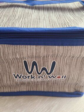 Insulated mini cooler
